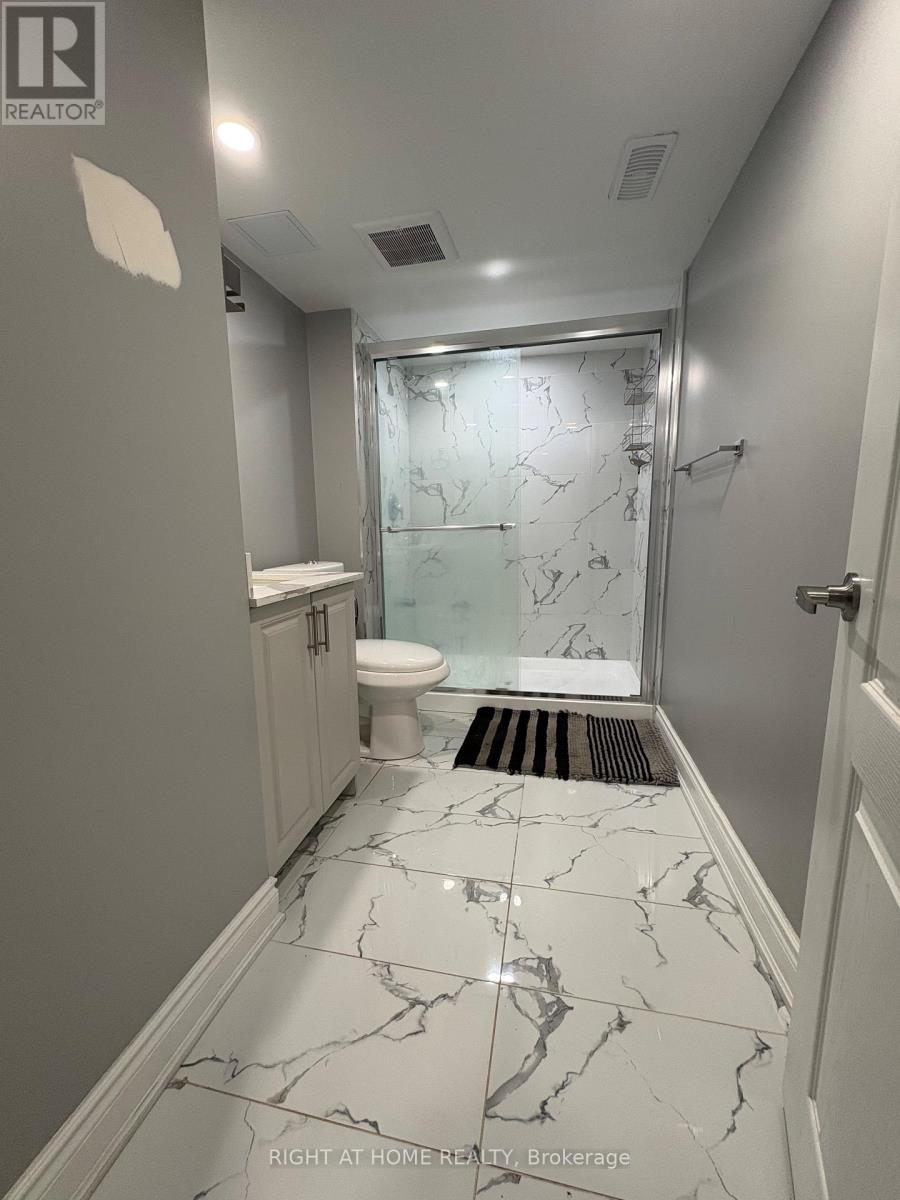 (Lower Level) - 846 Francine Crescent, Mississauga, Ontario  L5V 0E2 - Photo 14 - W13826698