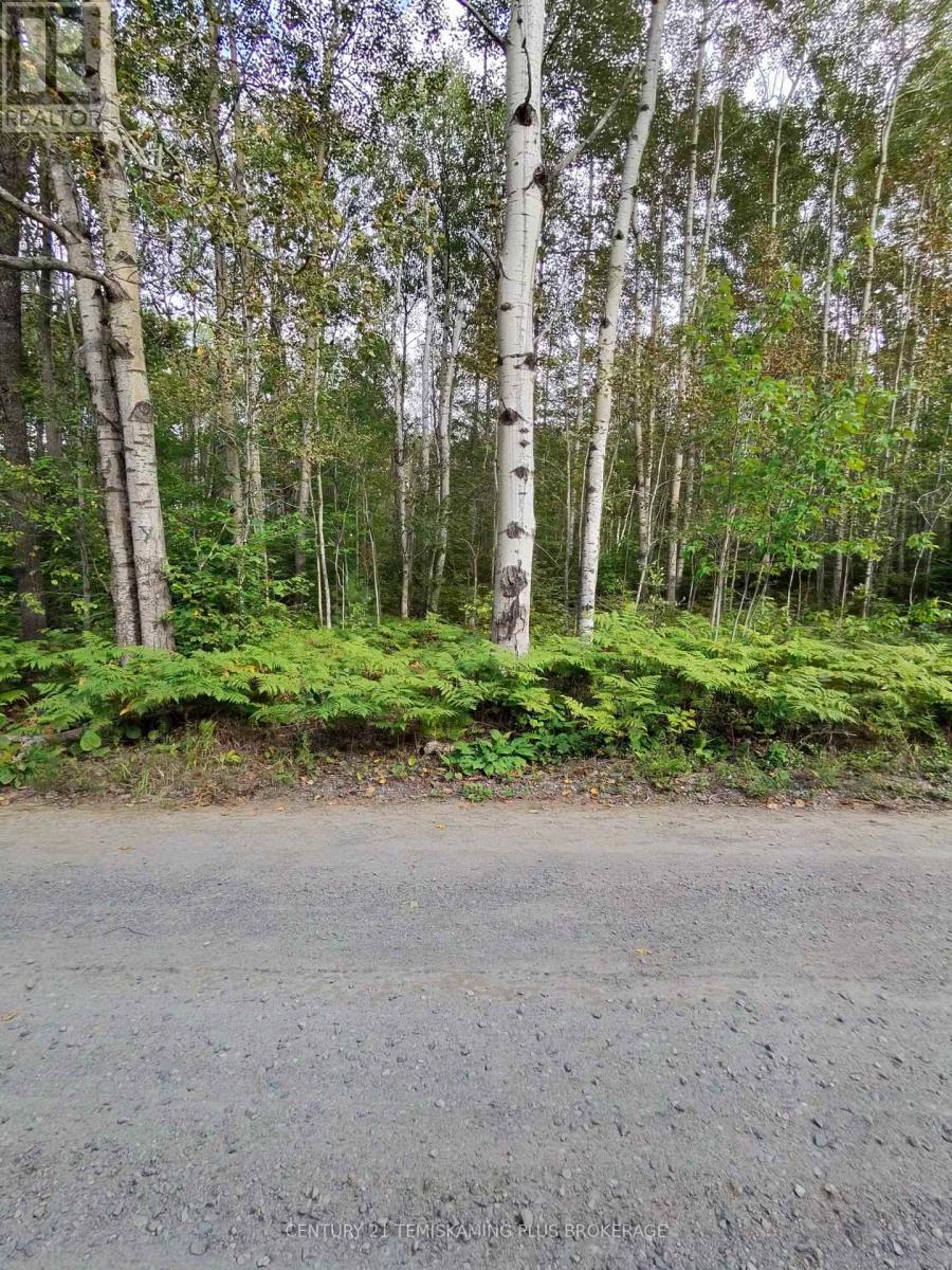 Part 13 Girl Guide Road, Coleman, Ontario  P0C 1C0 - Photo 2 - T12699078