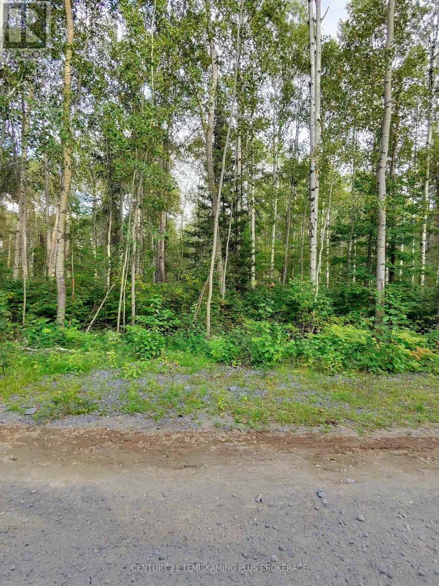 Part 13 Girl Guide Road, Coleman, Ontario  P0C 1C0 - Photo 3 - T12699078