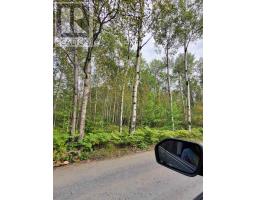 PART 13 GIRL GUIDE ROAD, Coleman, Ontario