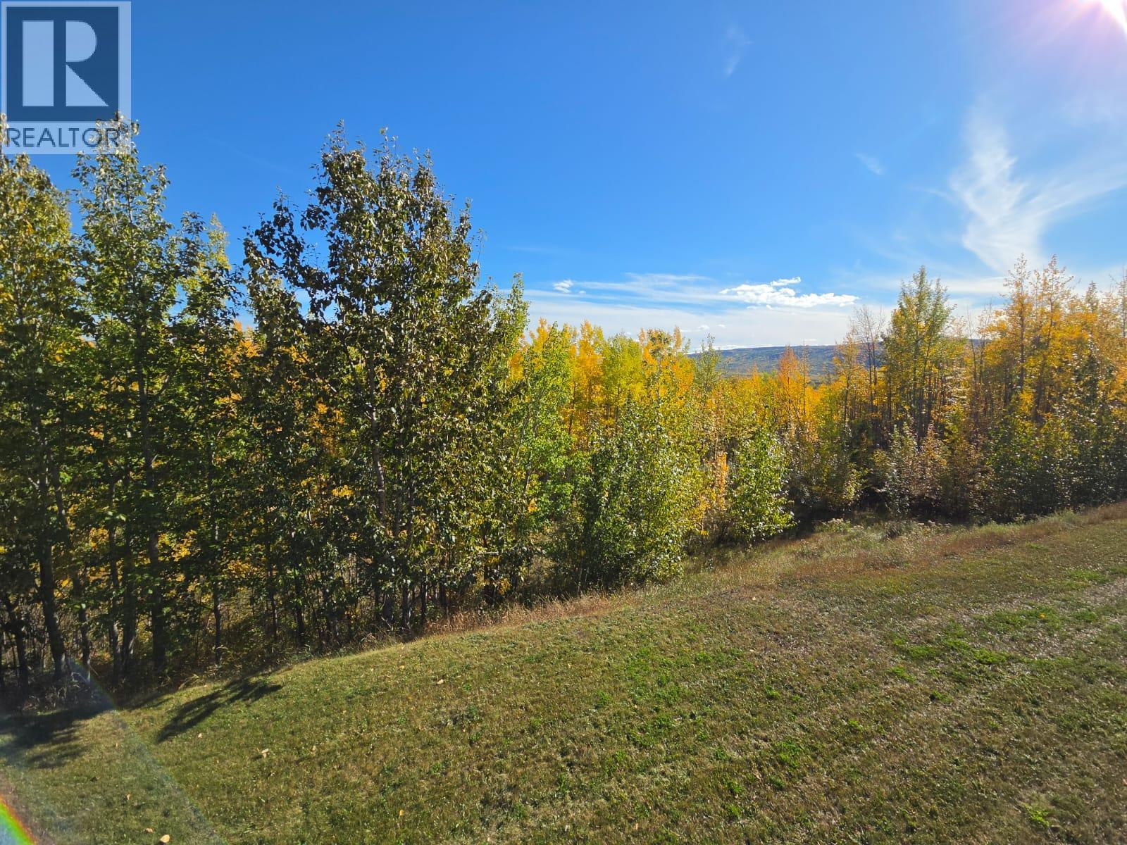 5153 45 Avenue NW, Chetwynd, British Columbia  V0C 1J0 - Photo 59 - 10377697