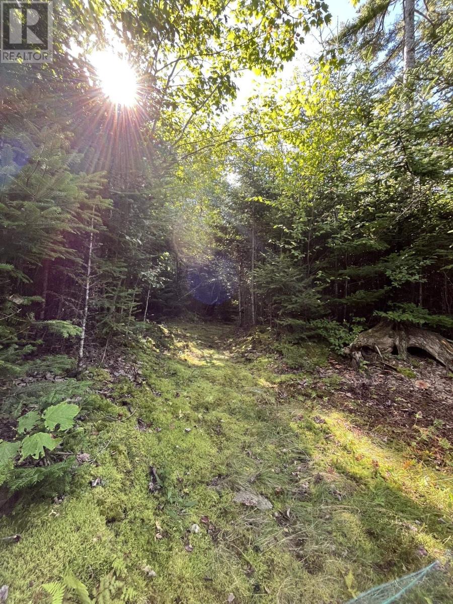 586 West Porters Lake Road, Porters Lake, Nova Scotia  B3E 1K5 - Photo 43 - 202624305