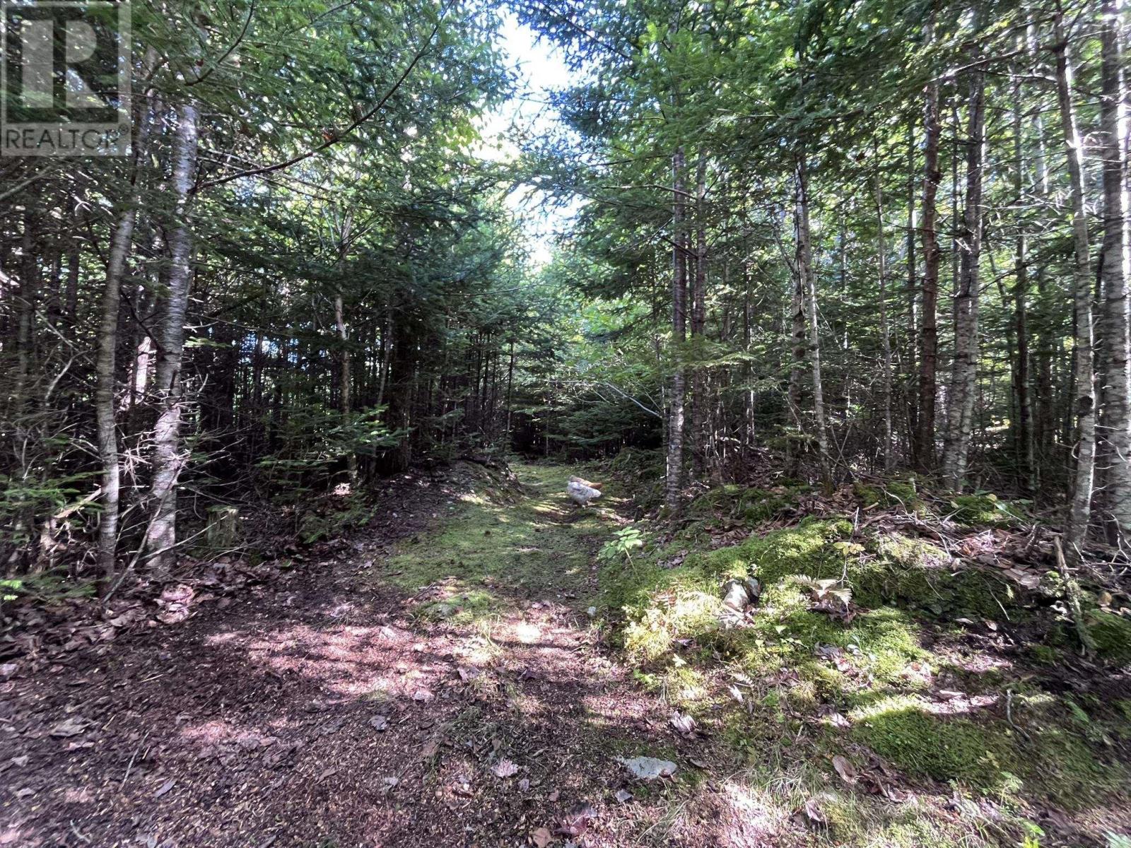 586 West Porters Lake Road, Porters Lake, Nova Scotia  B3E 1K5 - Photo 45 - 202624305