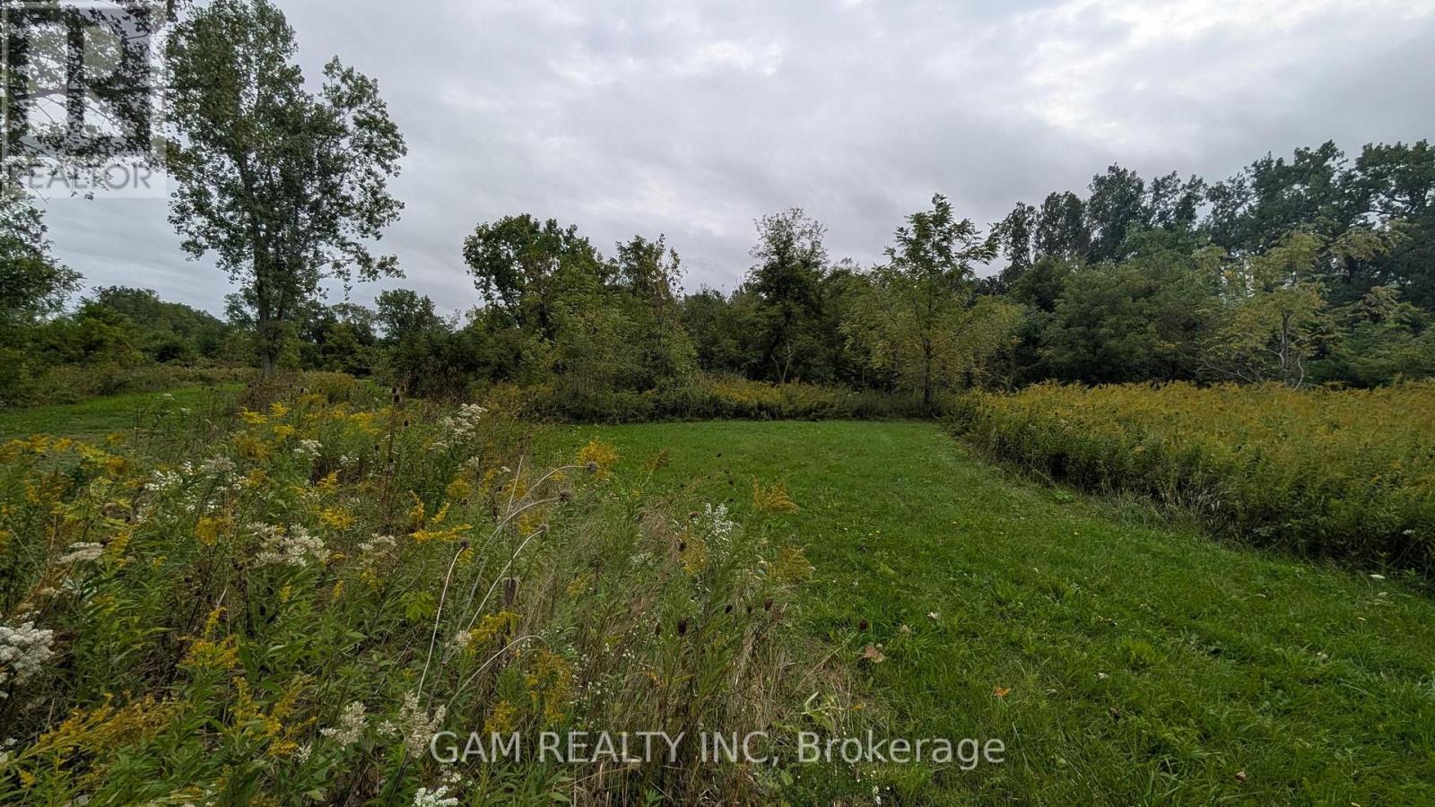 V/l County Road 46 Road, Lakeshore, Ontario  N0P 1J0 - Photo 2 - X13826870