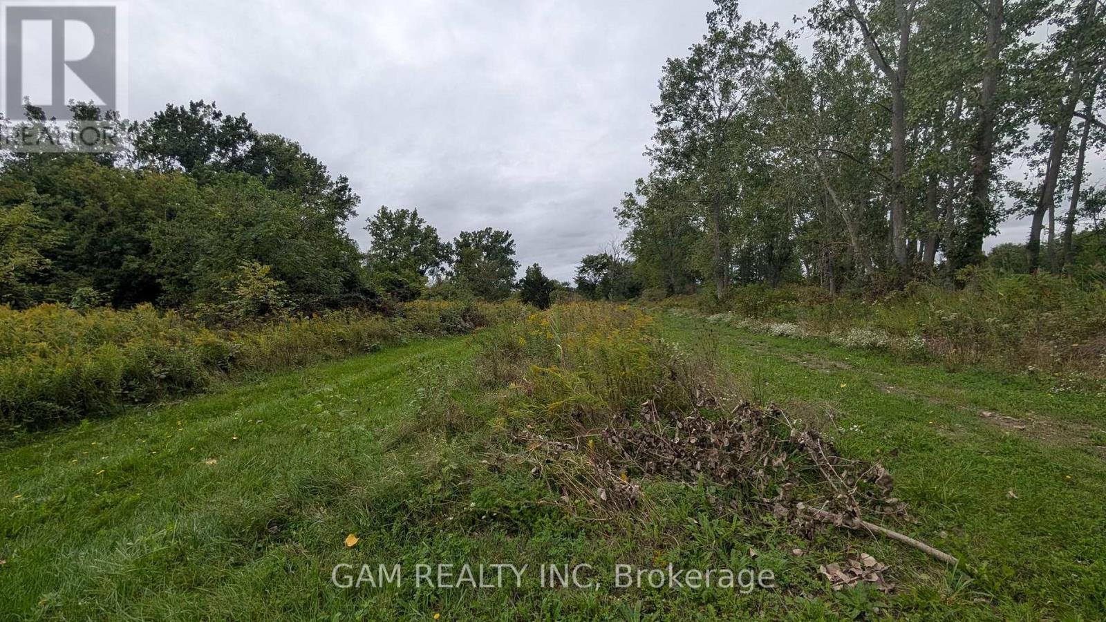 V/l County Road 46 Road, Lakeshore, Ontario  N0P 1J0 - Photo 4 - X13826870