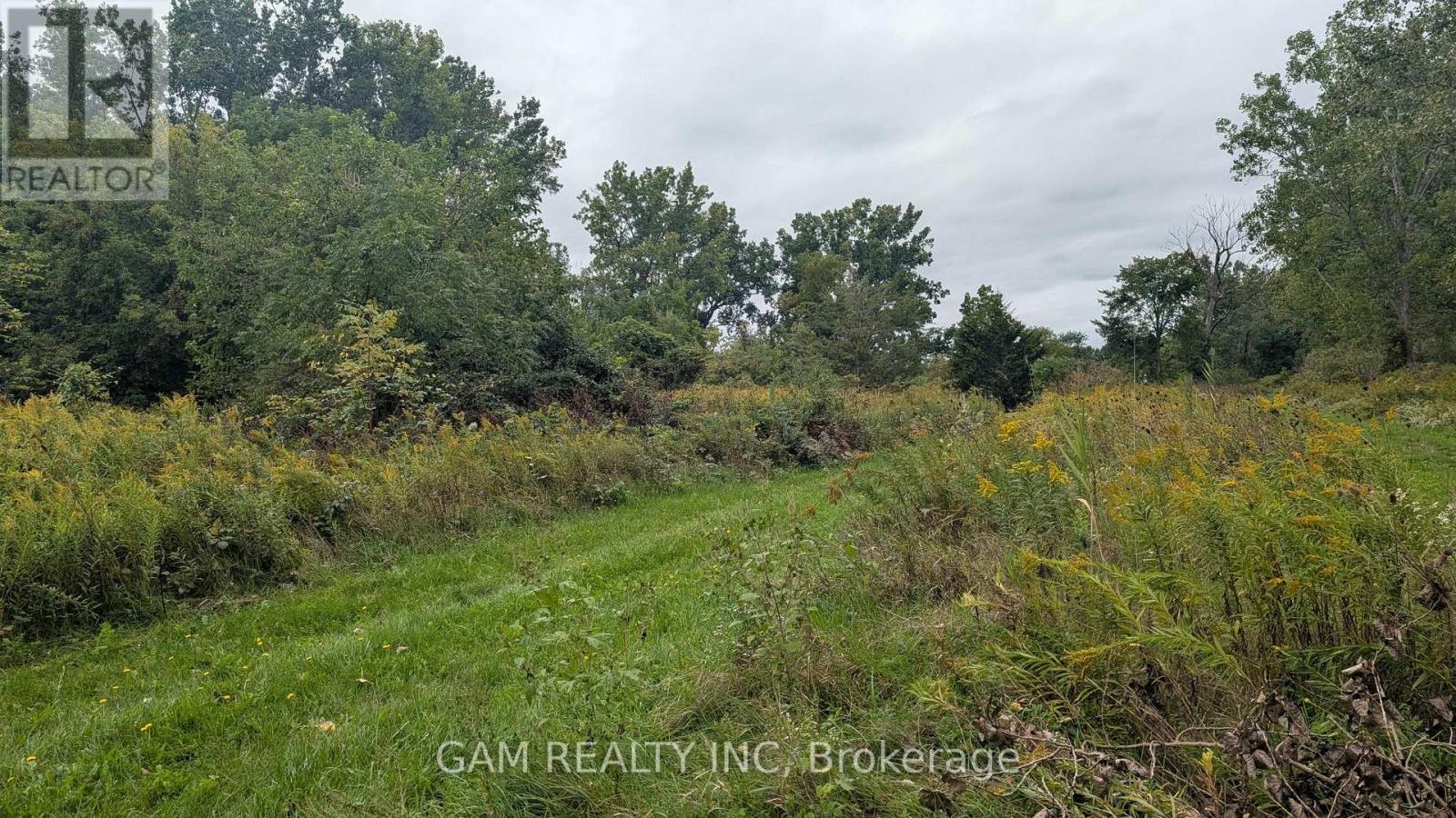 V/l County Road 46 Road, Lakeshore, Ontario  N0P 1J0 - Photo 5 - X13826870