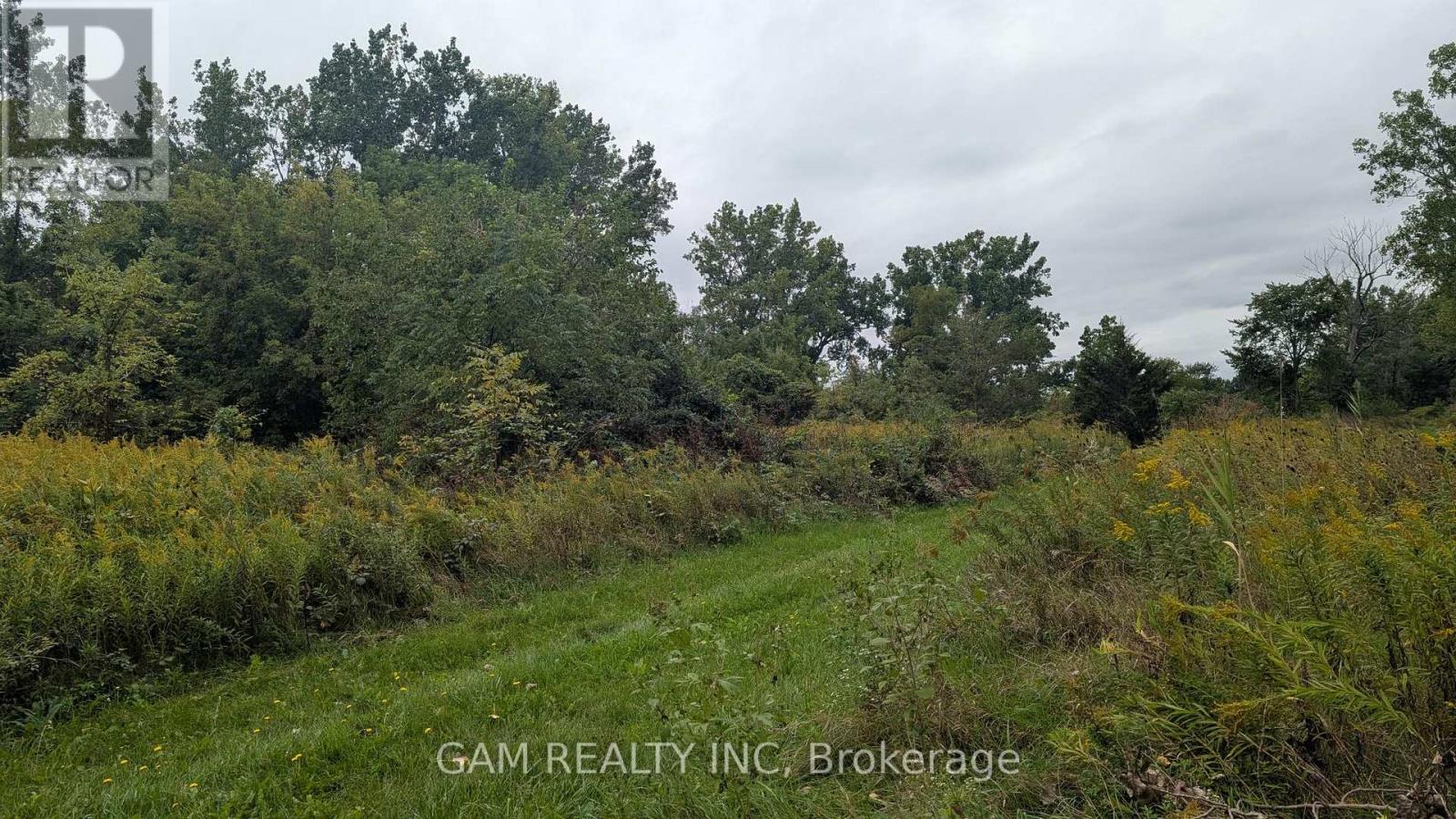 V/l County Road 46 Road, Lakeshore, Ontario  N0P 1J0 - Photo 6 - X13826870