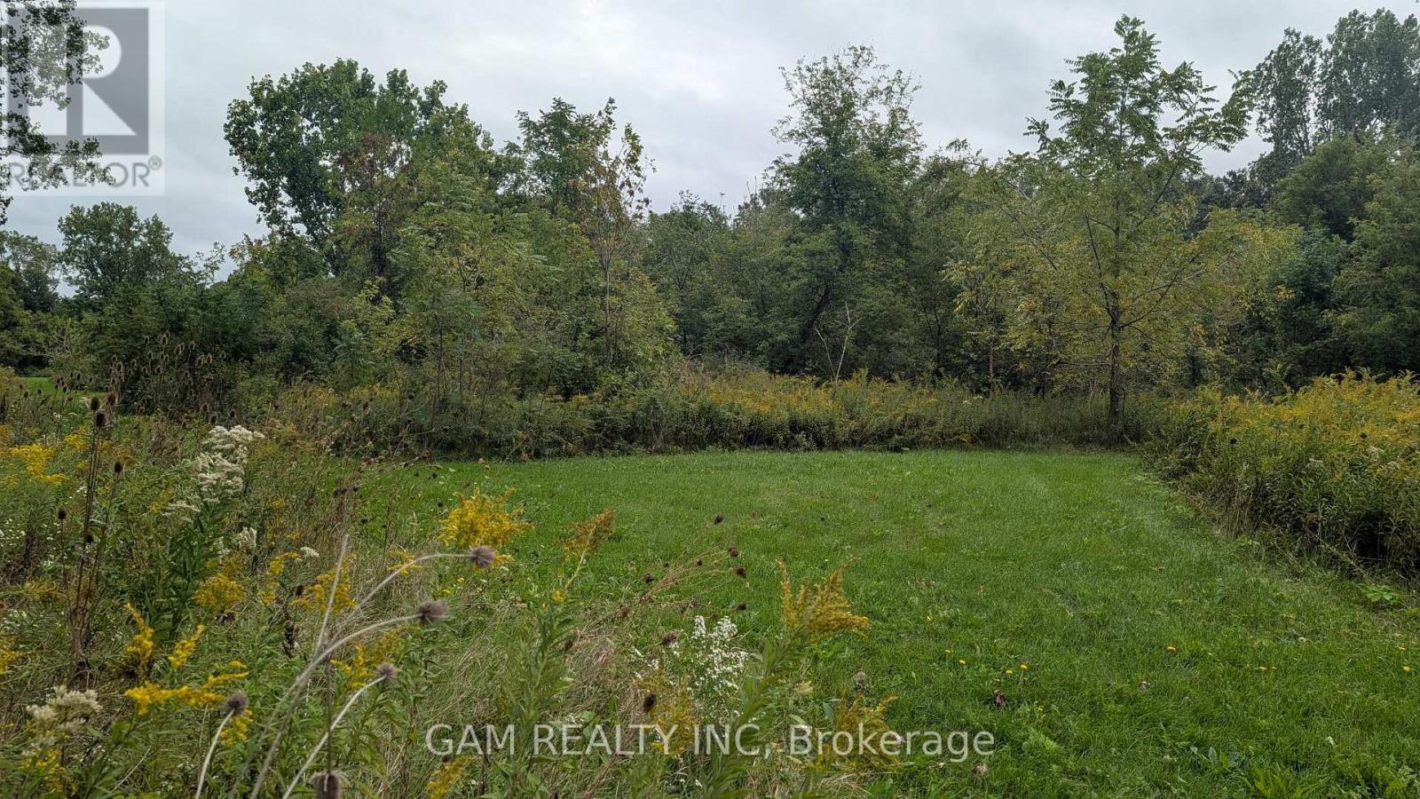 V/l County Road 46 Road, Lakeshore, Ontario  N0P 1J0 - Photo 7 - X13826870