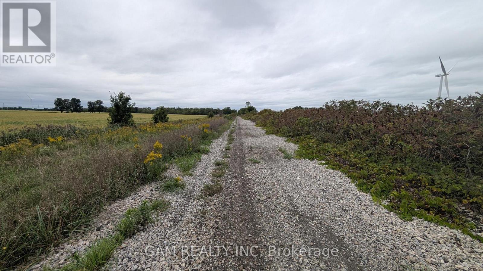 V/l County Road 46 Road, Lakeshore, Ontario  N0P 1J0 - Photo 9 - X13826870