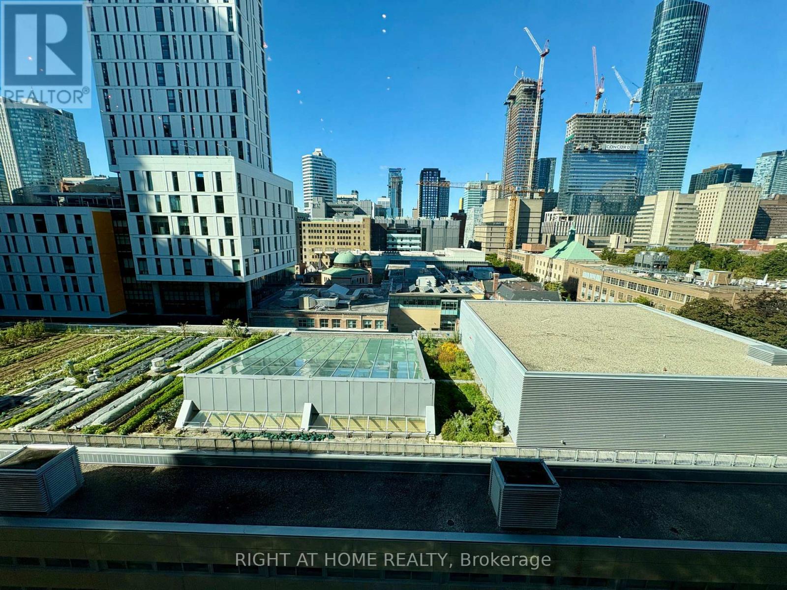 808 - 155 Dalhousie Street, Toronto, Ontario  M5B 2P7 - Photo 32 - C13826896