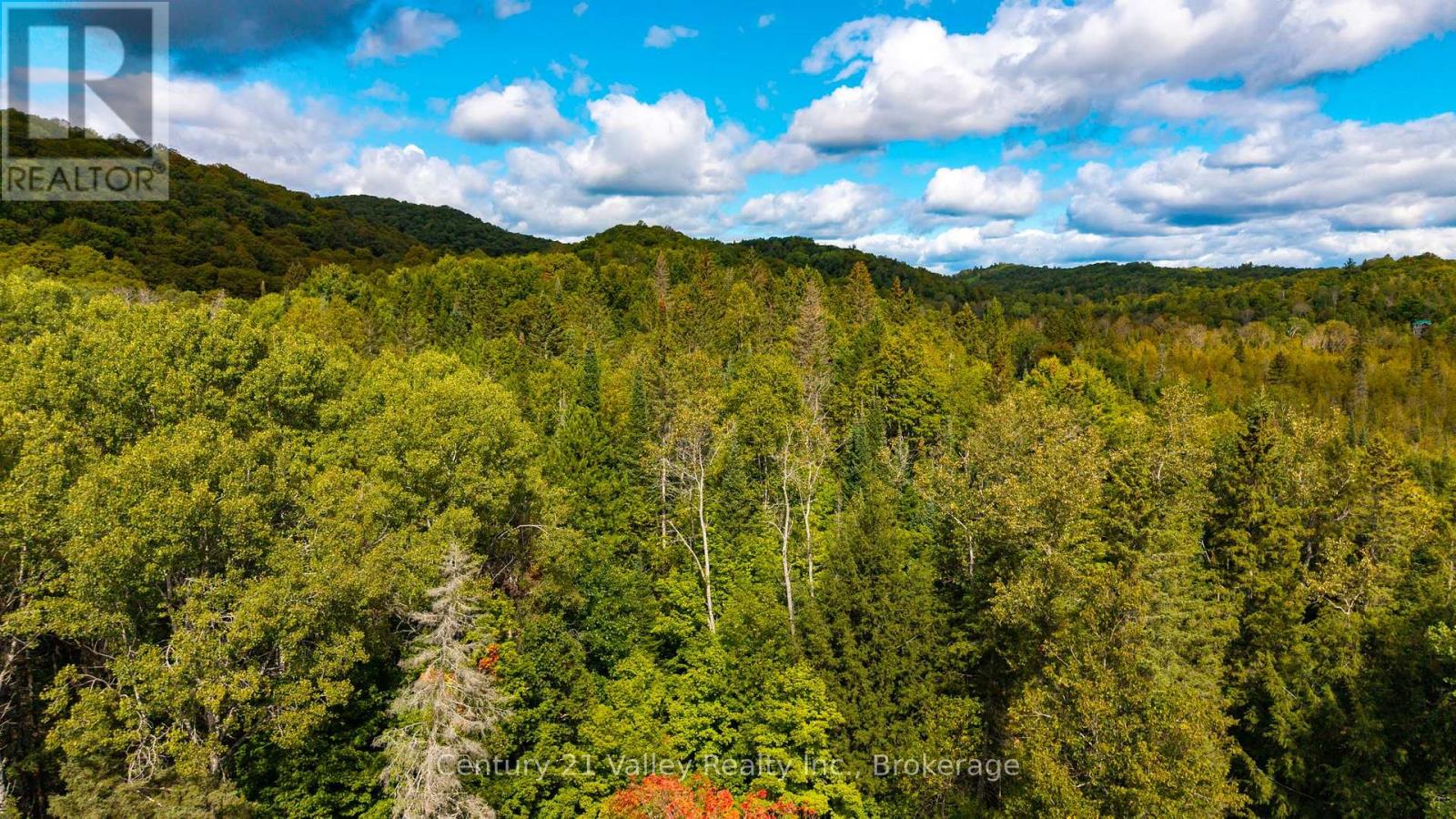 1998 Matawatchan Road, Greater Madawaska, Ontario  K0J 2R0 - Photo 32 - X13826902