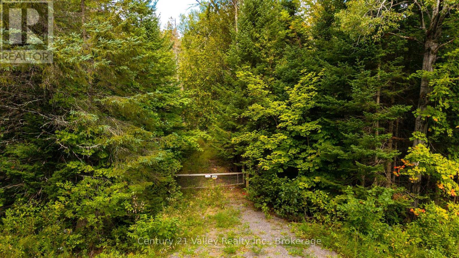 1998 Matawatchan Road, Greater Madawaska, Ontario  K0J 2R0 - Photo 34 - X13826902