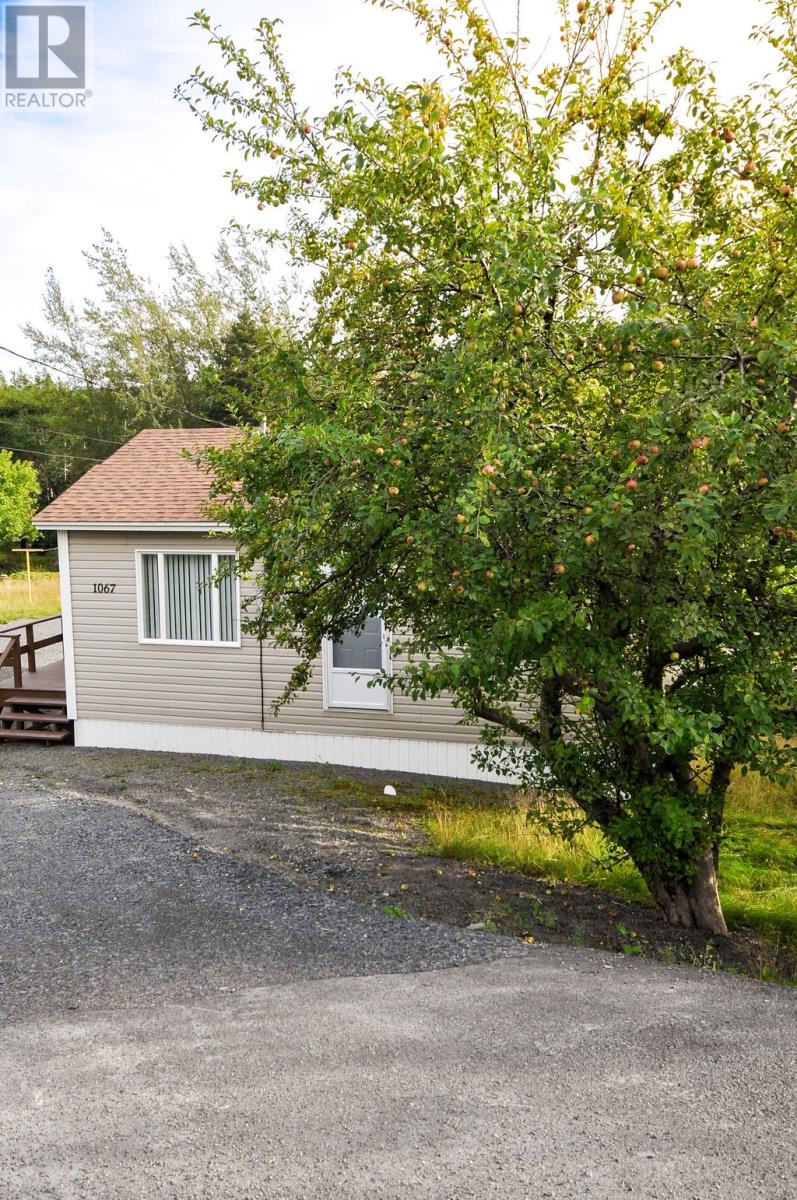 1067 Main Road, Dunville, Newfoundland & Labrador