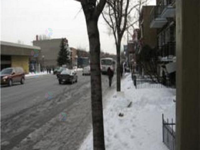 3625 Rue Hochelaga Montréal (Mercier/Hochelaga-Maisonneuve) Quebec Canada H1W1H9 2
