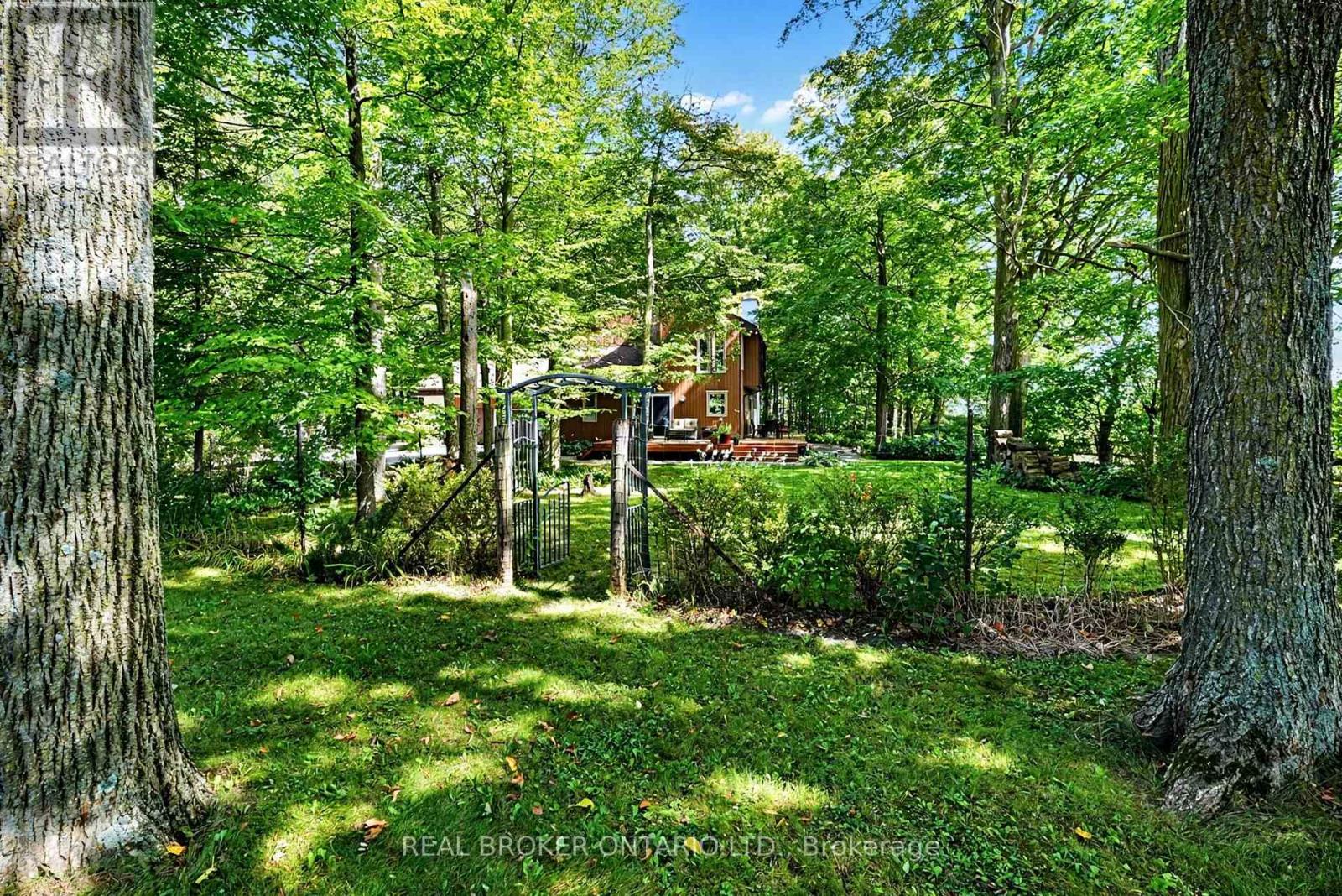 18061 Highway 48, East Gwillimbury (Mt Albert), Ontario L0G 1E0 - Photo 38 - N13822796