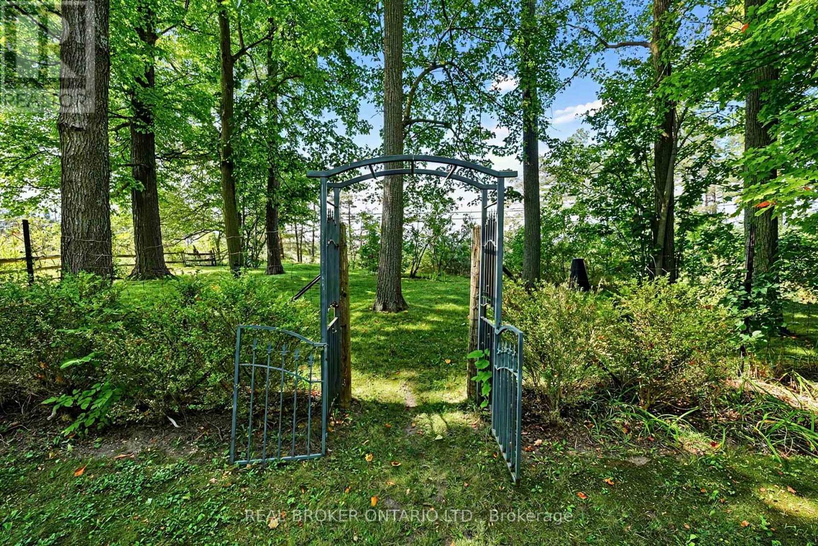 18061 Highway 48, East Gwillimbury (Mt Albert), Ontario L0G 1E0 - Photo 39 - N13822796