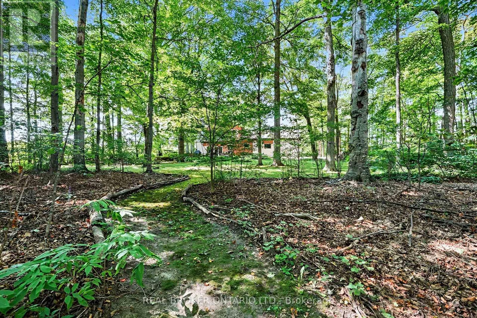 18061 Highway 48, East Gwillimbury (Mt Albert), Ontario L0G 1E0 - Photo 47 - N13822796