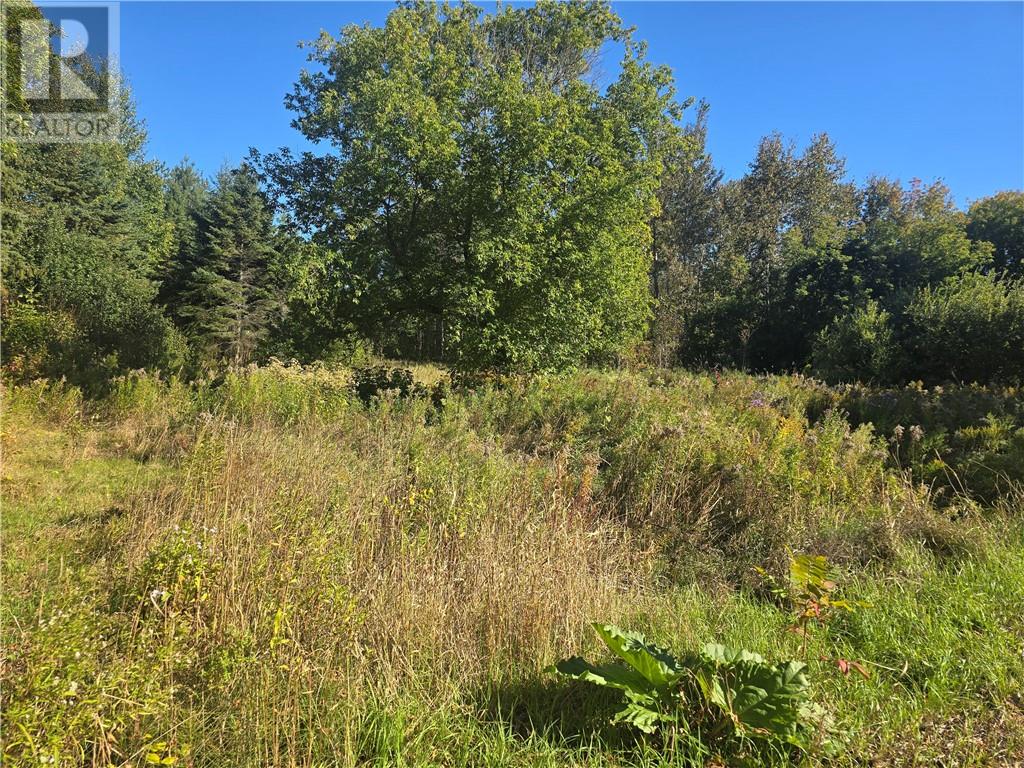 470 Imperial Road S, Massey, Ontario  P0P 1P0 - Photo 8 - 2130611