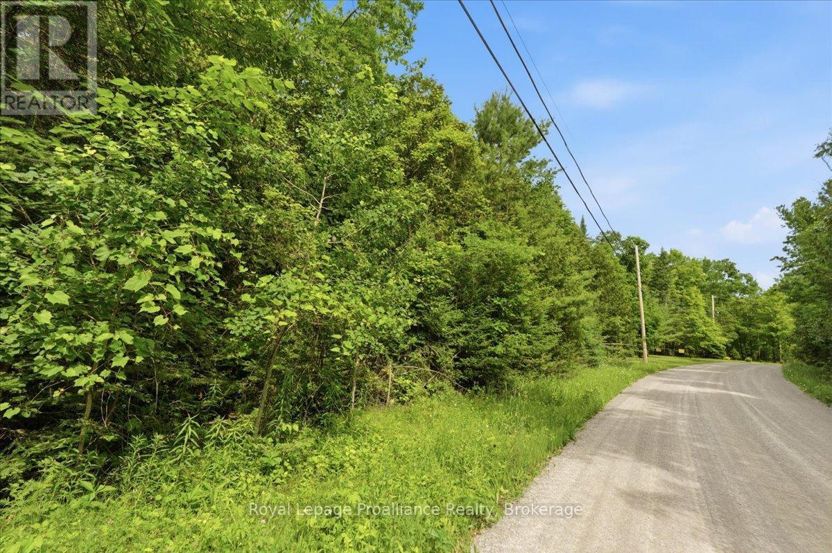 0 Swinburne Lane, Stirling-Rawdon, Ontario K0K 2M0 - Photo 5 - X13827214