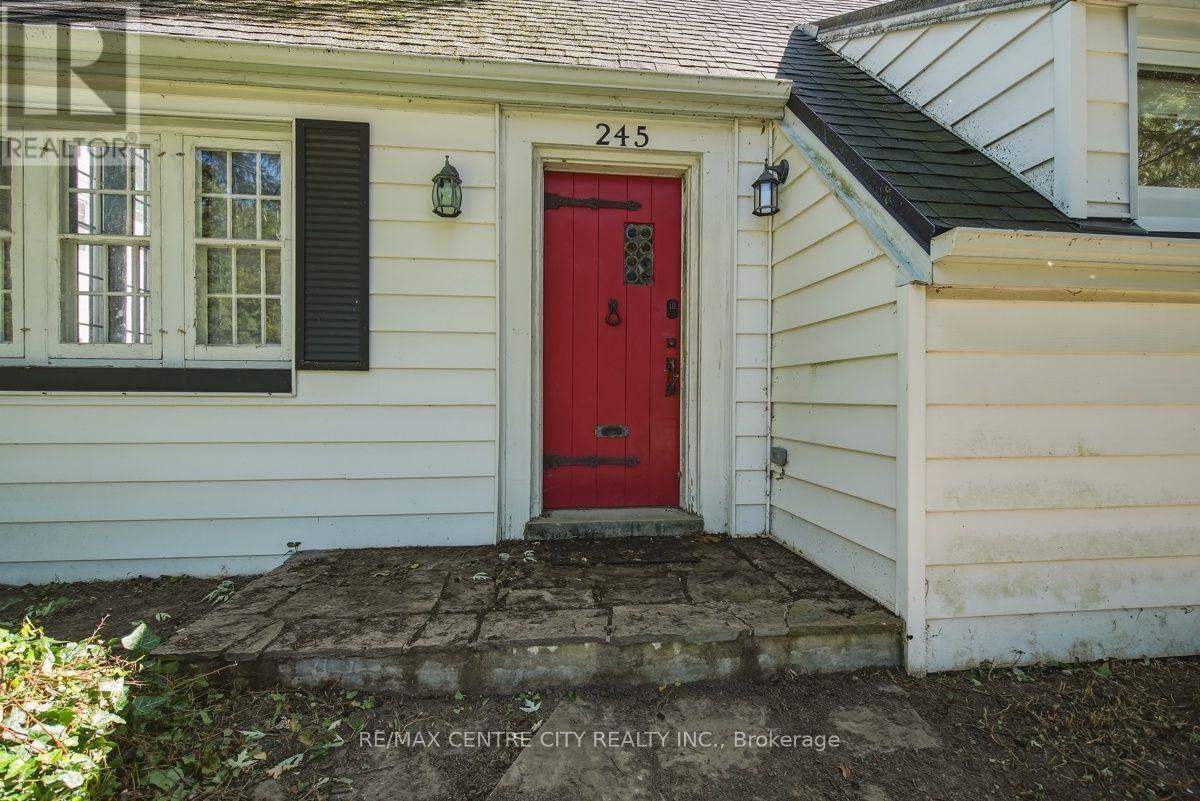 245 Bernard Avenue, London East, Ontario  N6A 2M9 - Photo 4 - X13827324