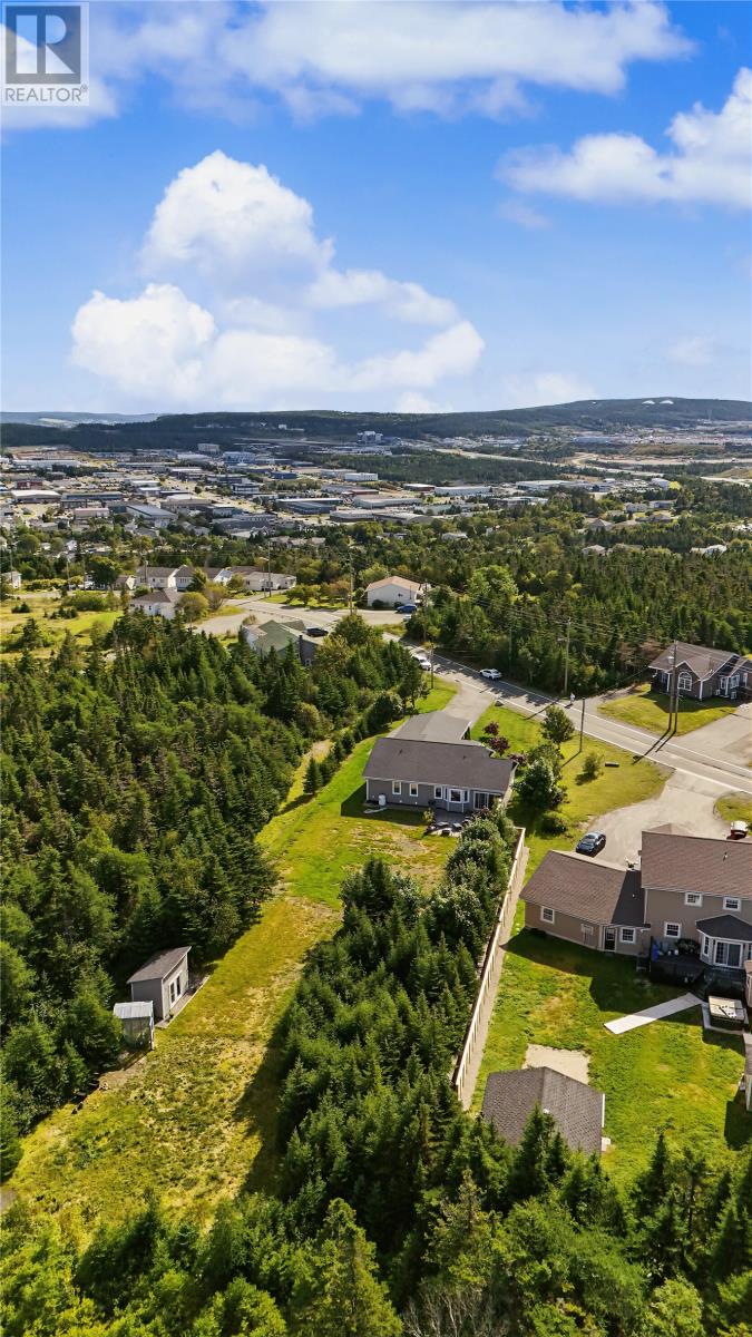 184 Groves Street, St John’s, Newfoundland & Labrador  A1B 4L4 - Photo 43 - 1303336