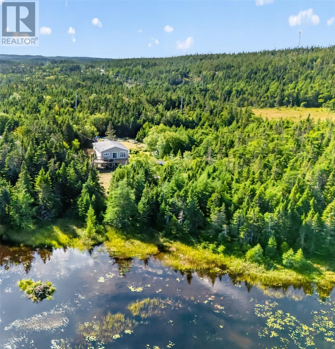 0 Dam Pond Road, Brigus Junction, Newfoundland & Labrador  A0B 1G0 - Photo 28 - 1303328
