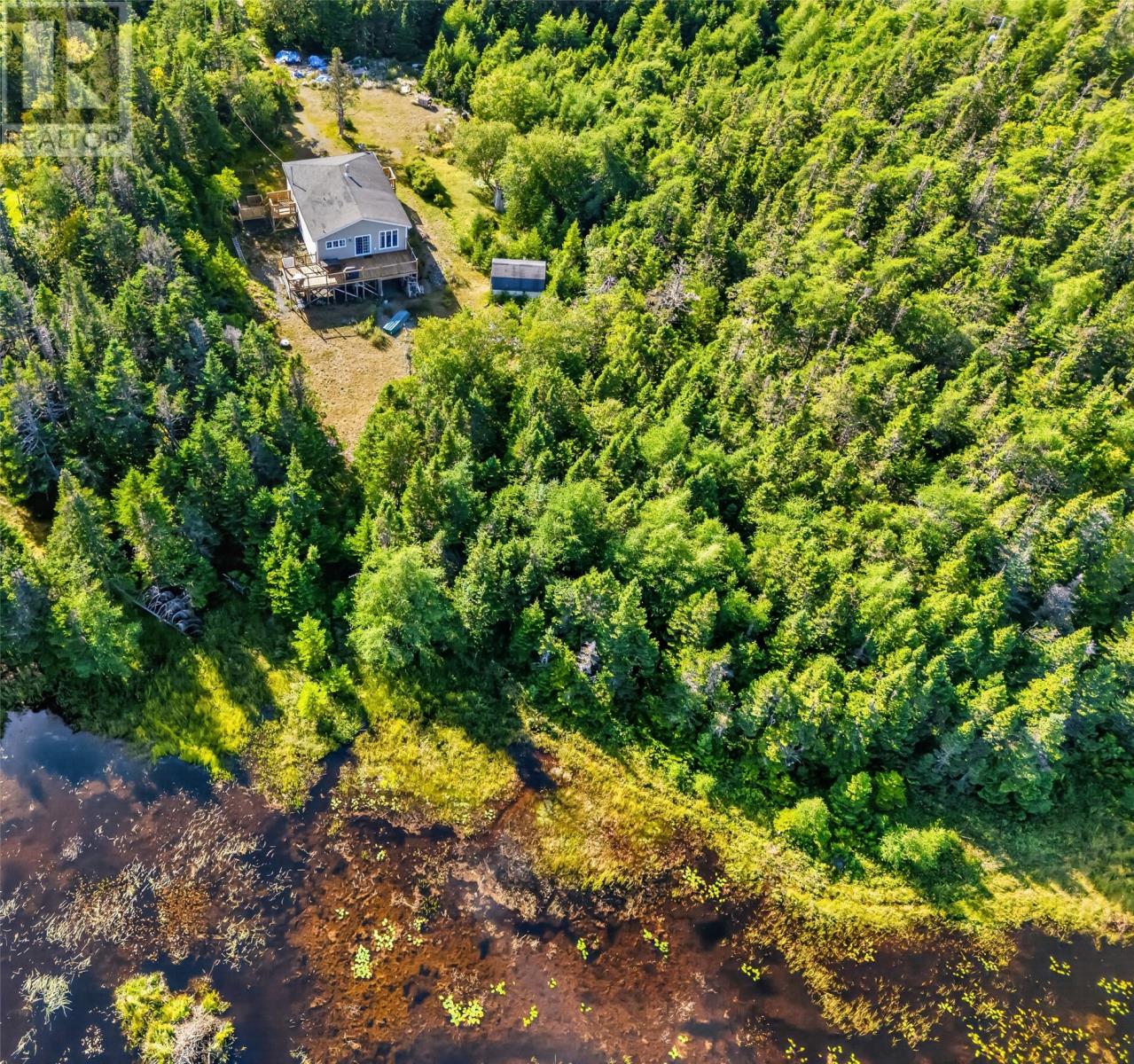 0 Dam Pond Road, Brigus Junction, Newfoundland & Labrador  A0B 1G0 - Photo 29 - 1303328