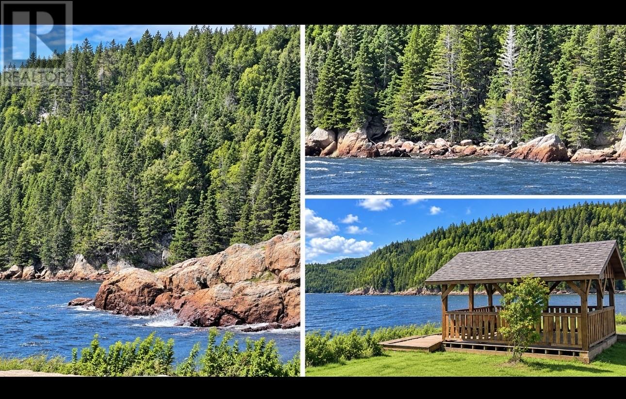 22 Main Street, Hare Bay, Newfoundland & Labrador  A0G 2P0 - Photo 13 - 1303631