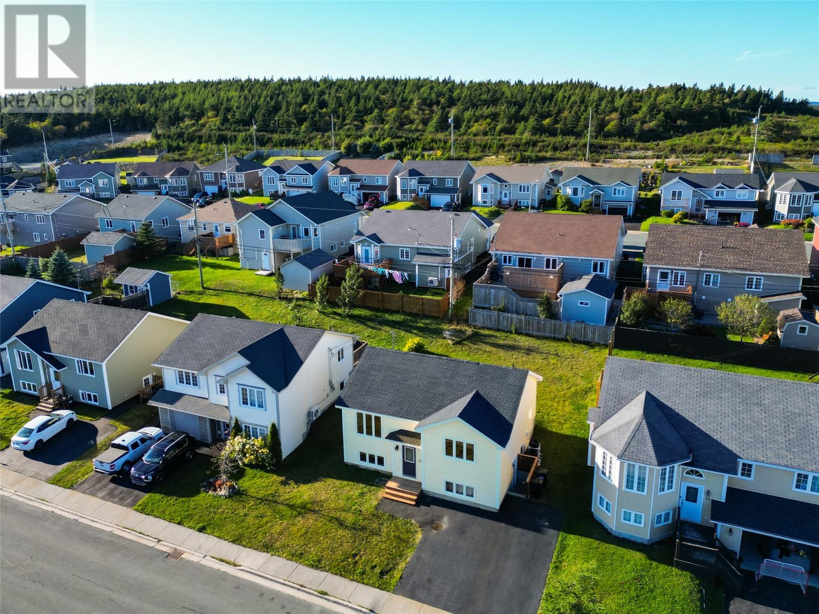 24 Hopedale Crescent, St. John's, Newfoundland & Labrador  A1B 0B4 - Photo 35 - 1303283