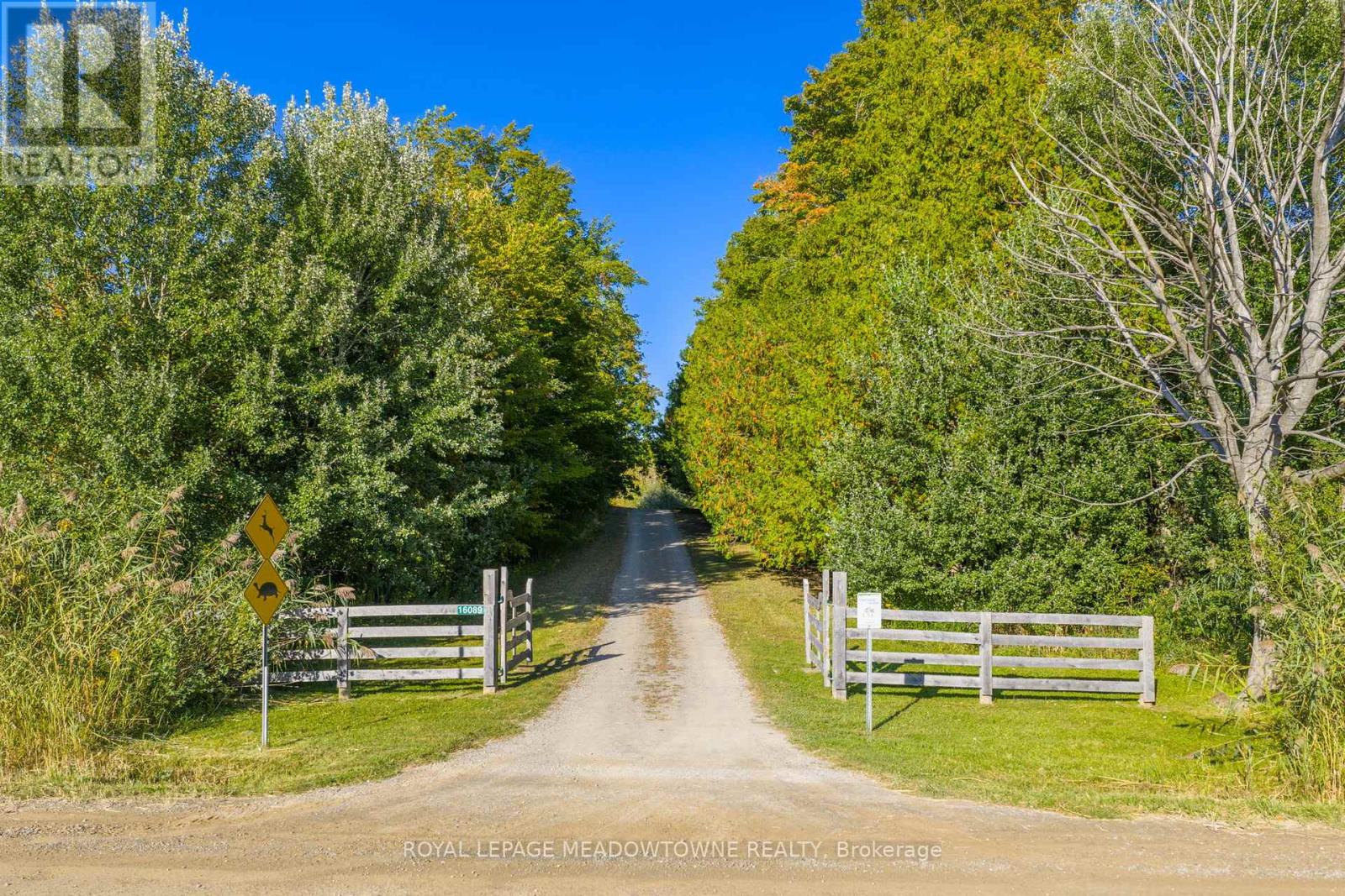 16089 Shaws Creek Road, Caledon, Ontario  L7C 1V9 - Photo 37 - W13827304