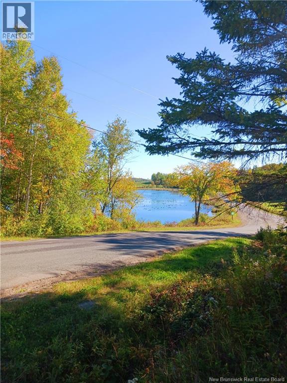 11 Moose Mountian Road Moose Mountain New Brunswick Canada E7J1P7 5