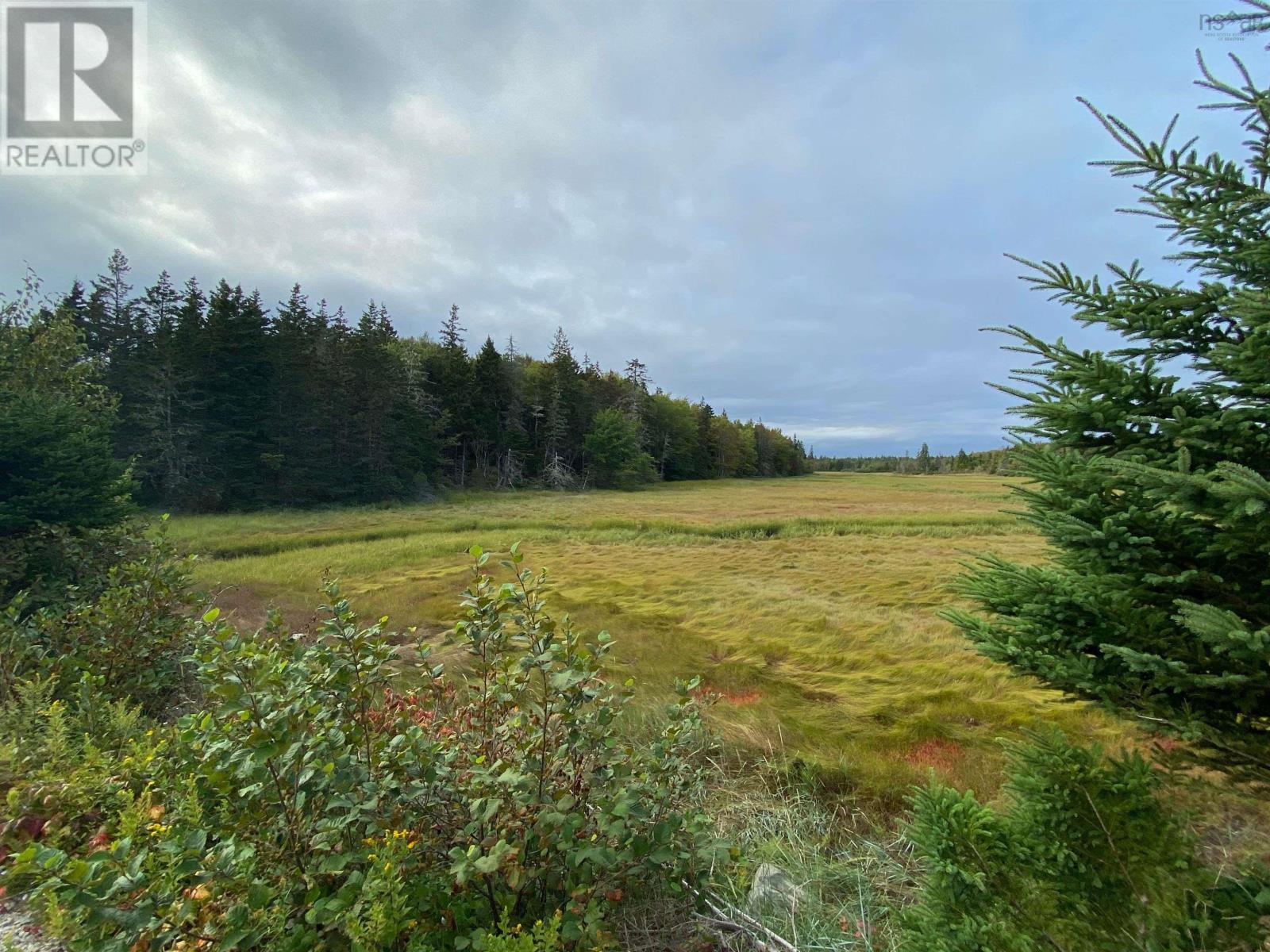 308 Highway, Morris Island, Nova Scotia  B0W 3M0 - Photo 8 - 202524589