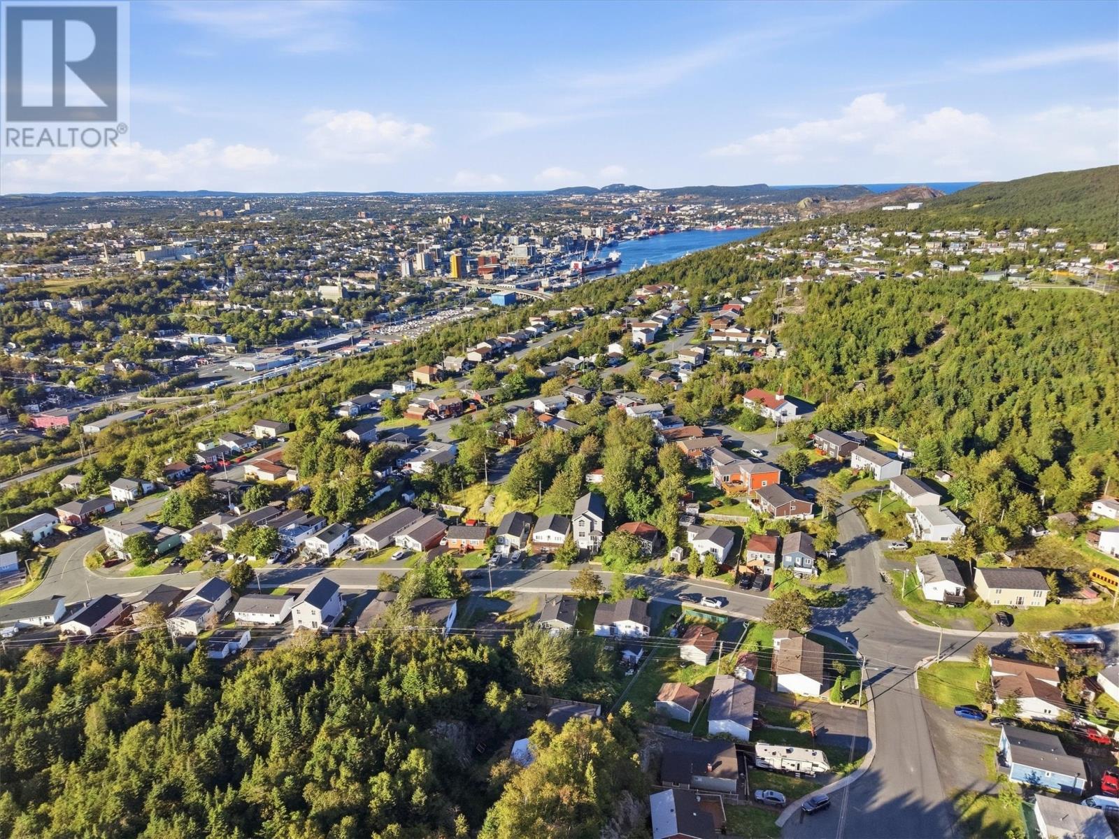 36 Linegar Avenue, St. John's, Newfoundland & Labrador  A0A 1J0 - Photo 28 - 1303604