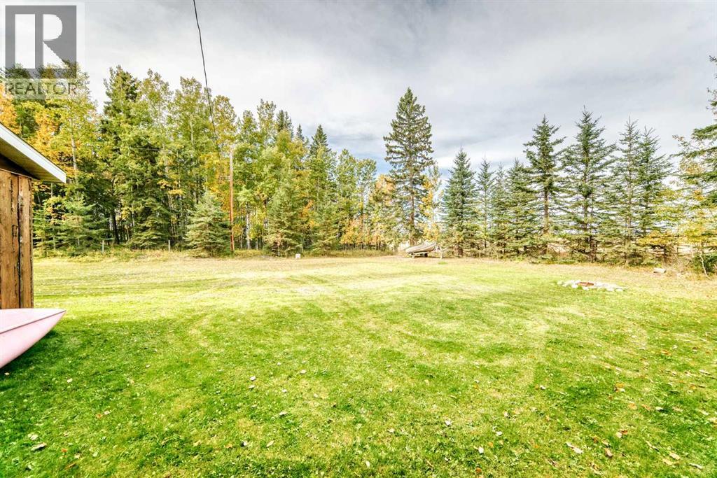 5160 & 5156 52nd Street, Caroline, Alberta  T0M 0M0 - Photo 36 - A2347436