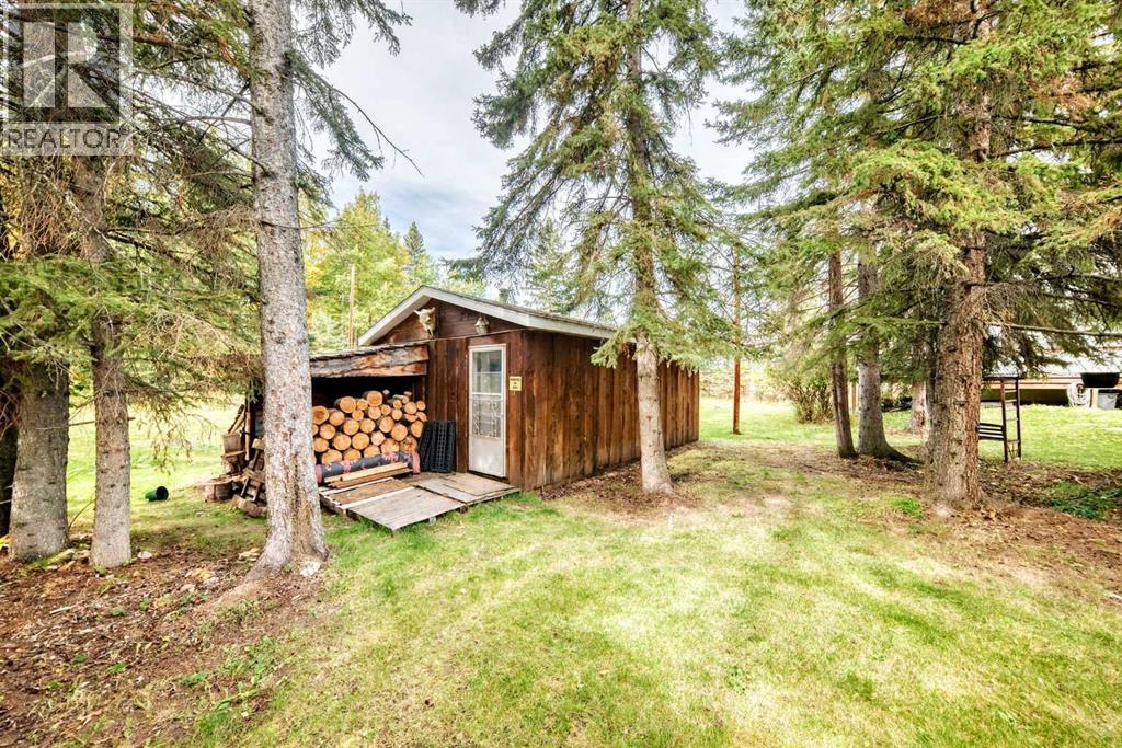 5160 & 5156 52nd Street, Caroline, Alberta  T0M 0M0 - Photo 41 - A2347436