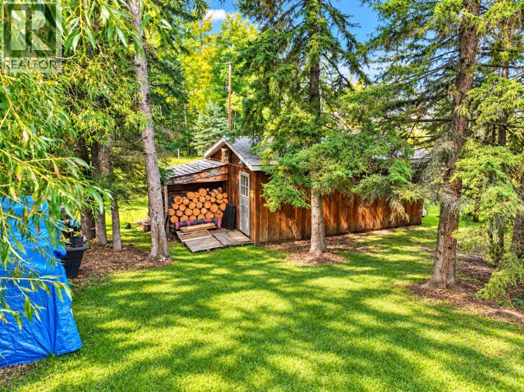 5160 & 5156 52nd Street, Caroline, Alberta  T0M 0M0 - Photo 43 - A2347436