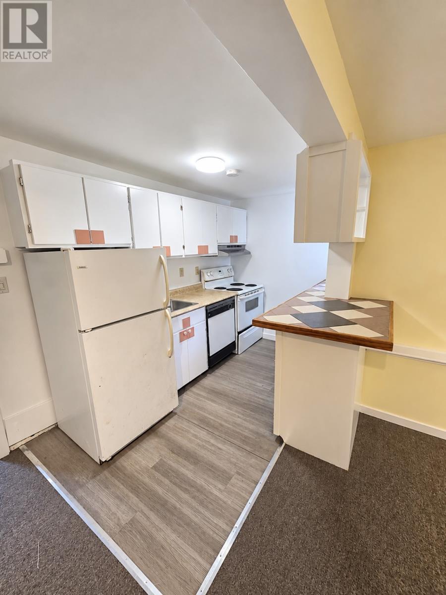 39 Field Street, St. John's, Newfoundland & Labrador  A1C 4J3 - Photo 5 - 1303635