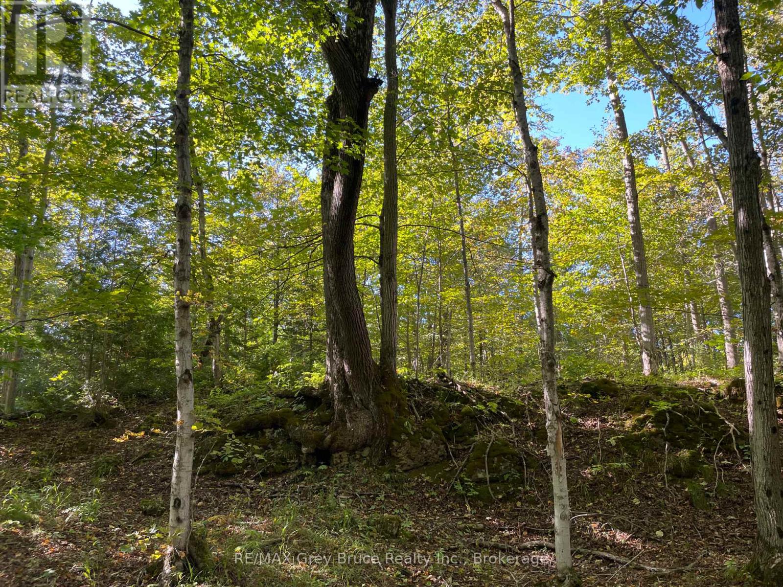 135 North Diagonal, South Bruce Peninsula, Ontario  N0H 2T0 - Photo 43 - X13828126