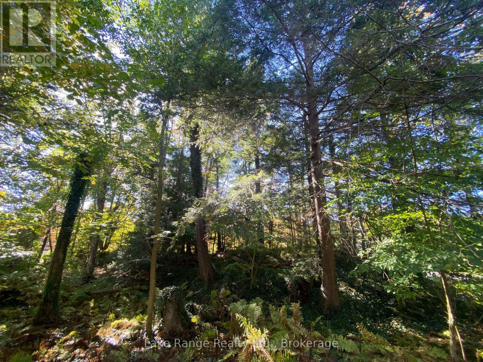 611 Tuscarora Road, Huron-Kinloss, Ontario  N0G 2R0 - Photo 5 - X13828374