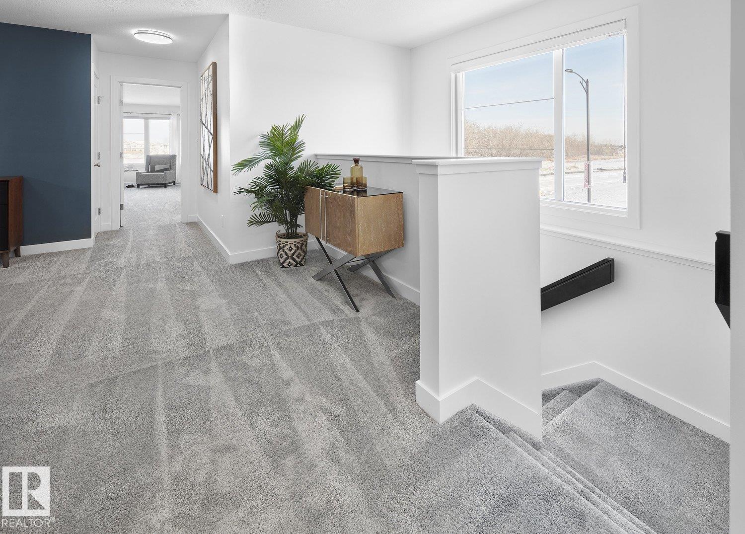 22003 93 Av Nw, Edmonton, Alberta  T5T 7N9 - Photo 13 - E4510393