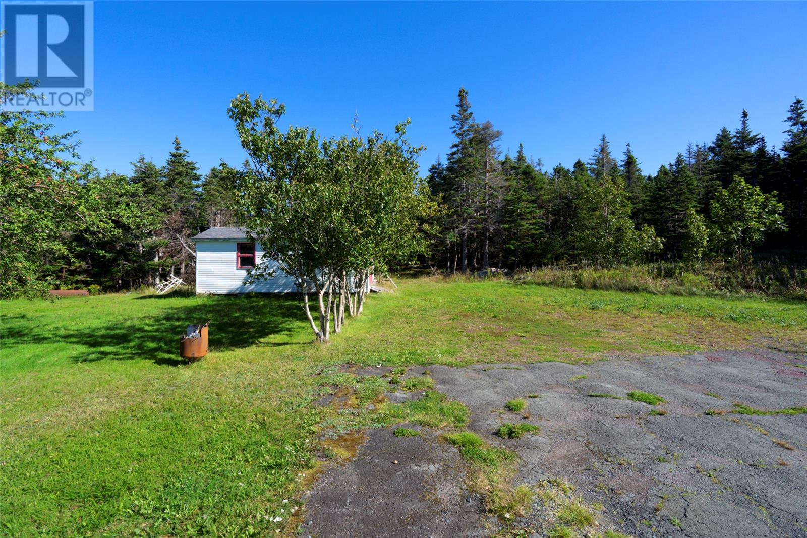 340 Main Road, Whiteway, Newfoundland & Labrador  A0B 3L0 - Photo 29 - 1303659