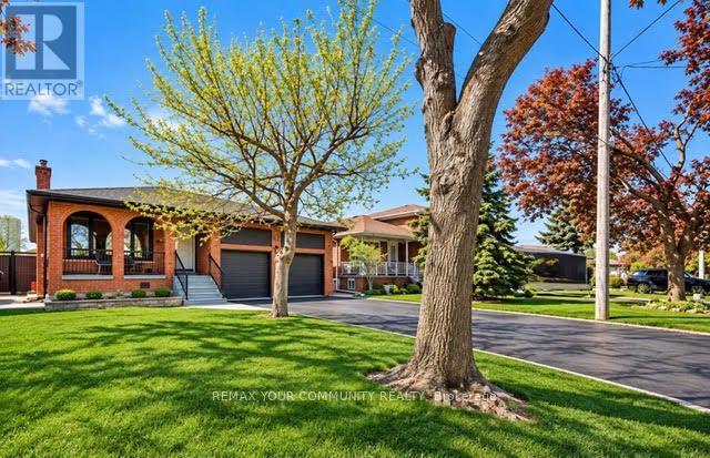 19 Hamer Boulevard, Toronto, Ontario  M9R 4A8 - Photo 4 - W13807028