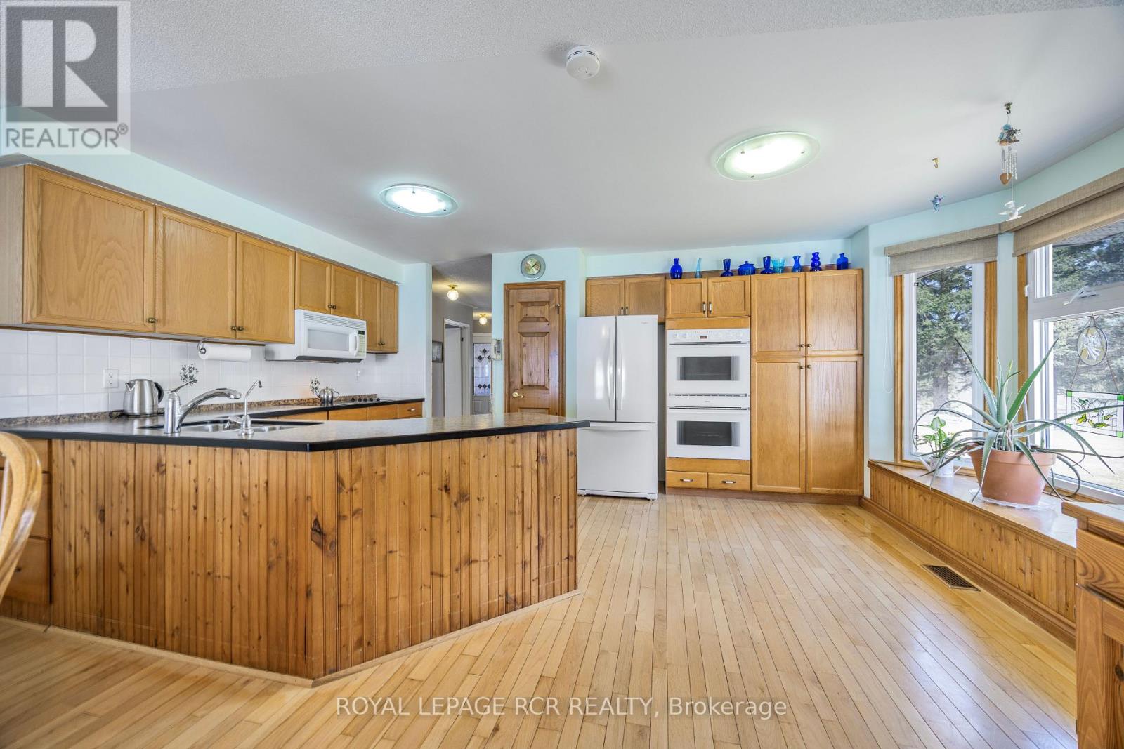 3 Henry Street, Amaranth, Ontario L9W 3Z1 - Photo 16 - X13449282