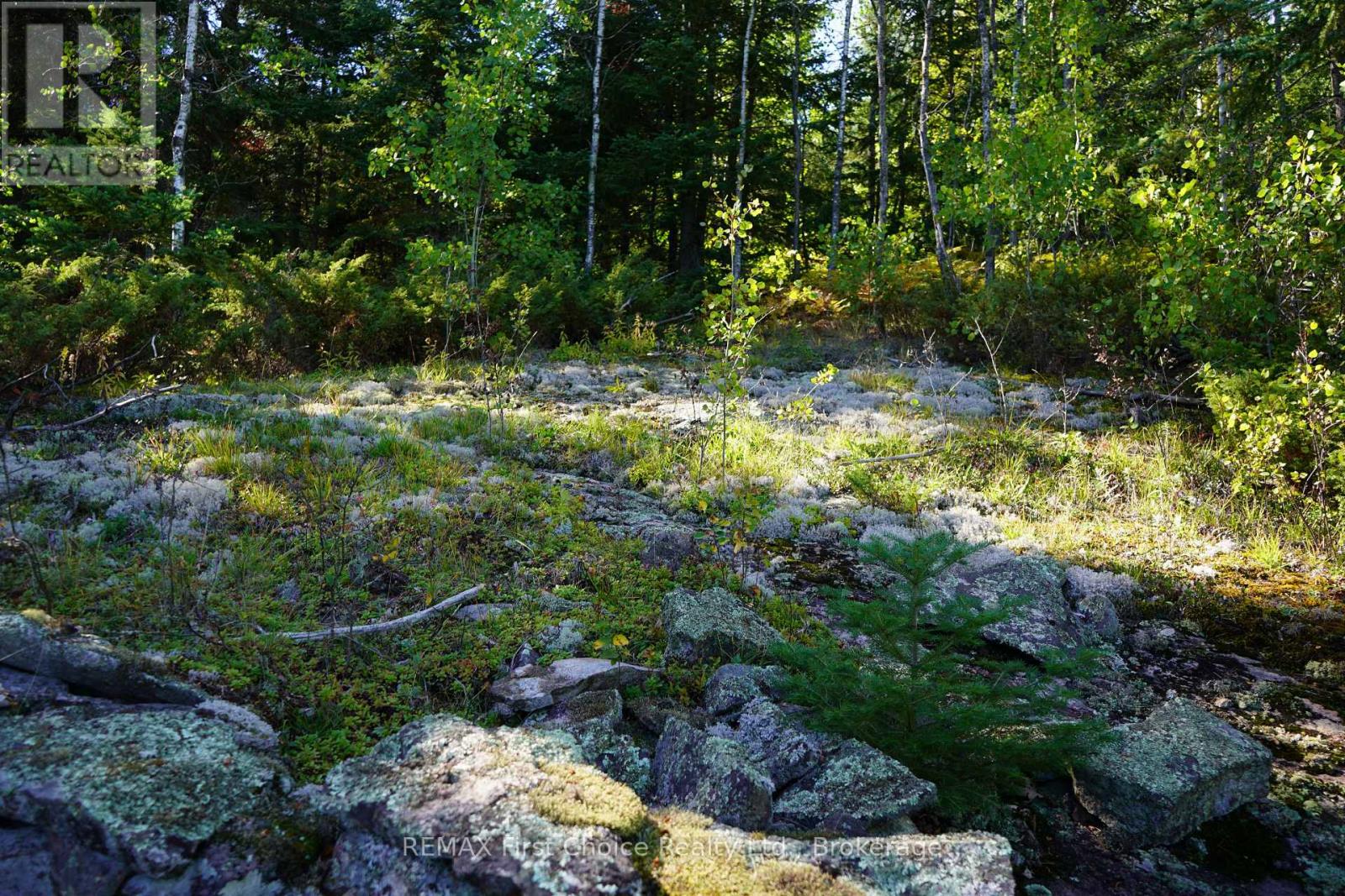 145 Little Sand Lake, Kenora Remote Area, Ontario  P0X 1J0 - Photo 23 - X13824196