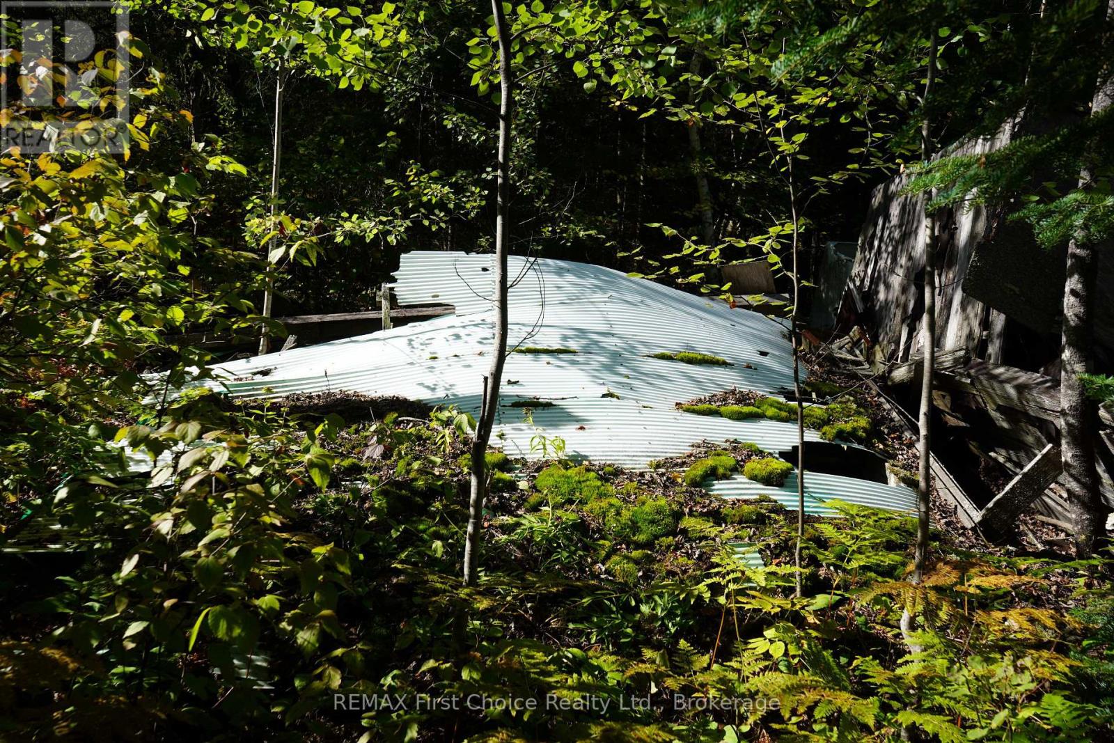 145 Little Sand Lake, Kenora Remote Area, Ontario  P0X 1J0 - Photo 32 - X13824196