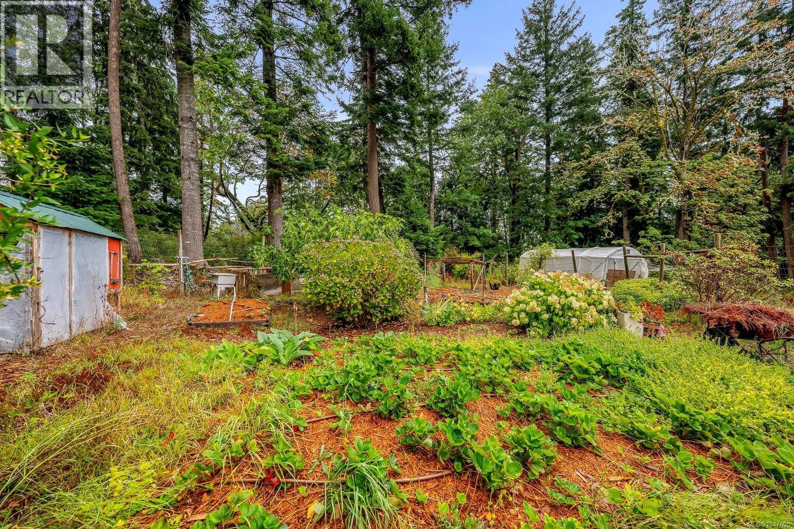 652 Fox Rd, Quadra Island, British Columbia  V0P 1N0 - Photo 67 - 1047605
