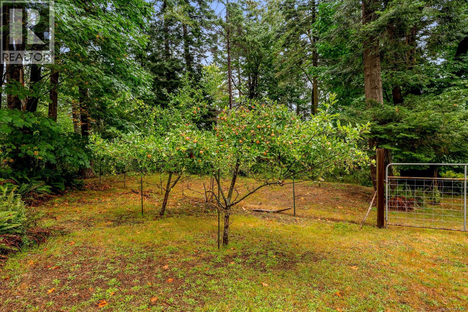 652 Fox Rd, Quadra Island, British Columbia  V0P 1N0 - Photo 75 - 1047605