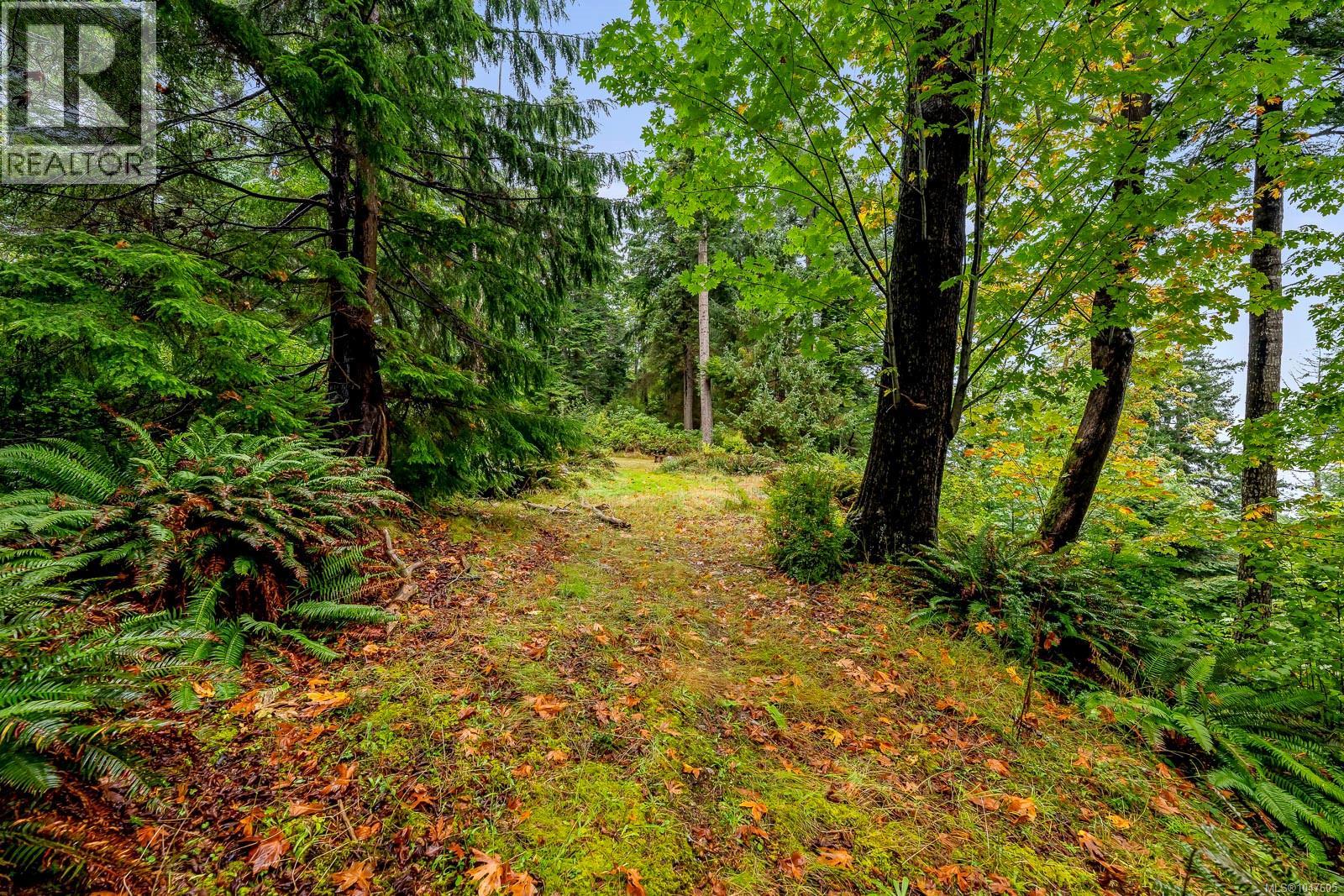 652 Fox Rd, Quadra Island, British Columbia  V0P 1N0 - Photo 80 - 1047605