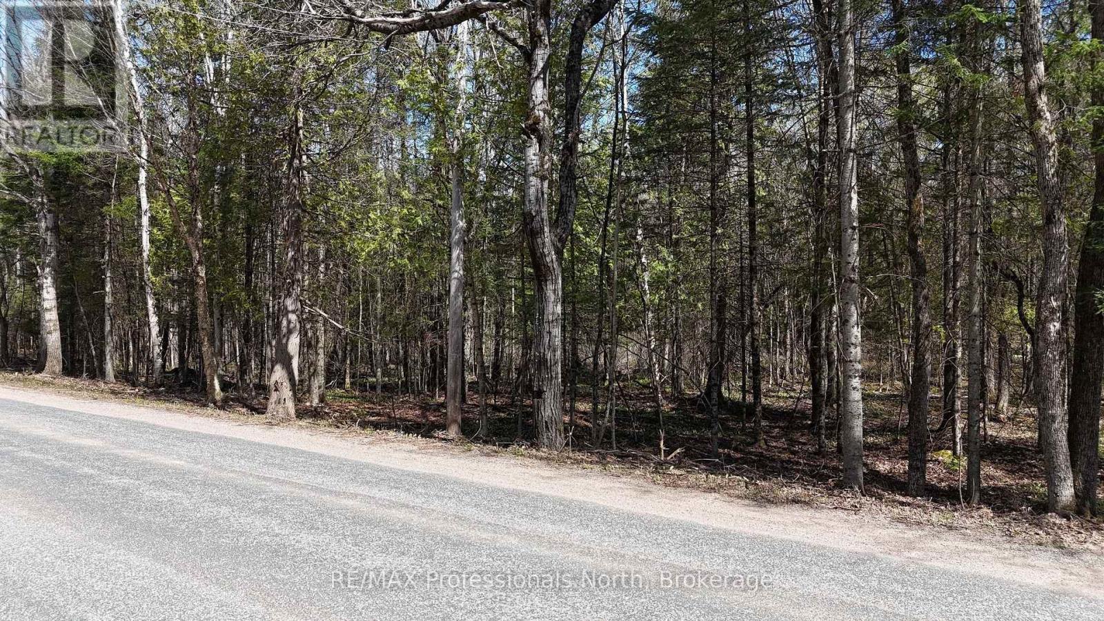 Tbd Glamor Lake Road, Highlands East, Ontario K0M 1R0 - Photo 4 - X13828618