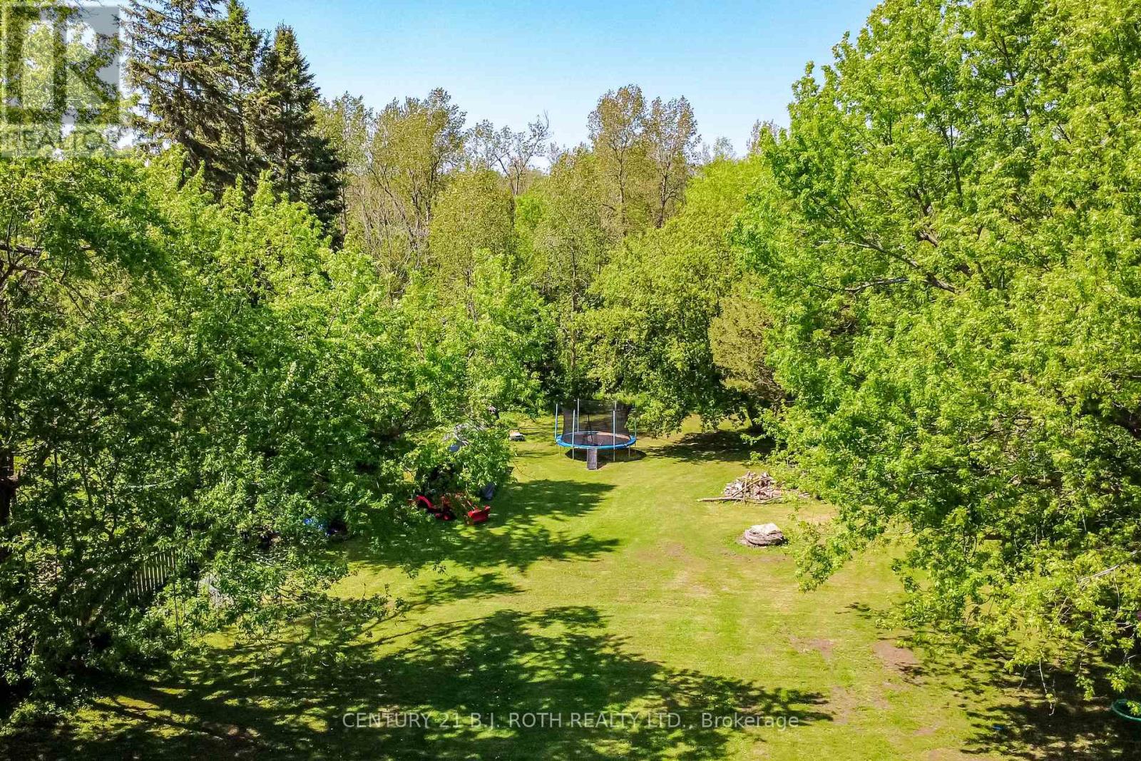 7906 Main Street, Adjala-Tosorontio, Ontario  L0M 1J0 - Photo 5 - N13828792